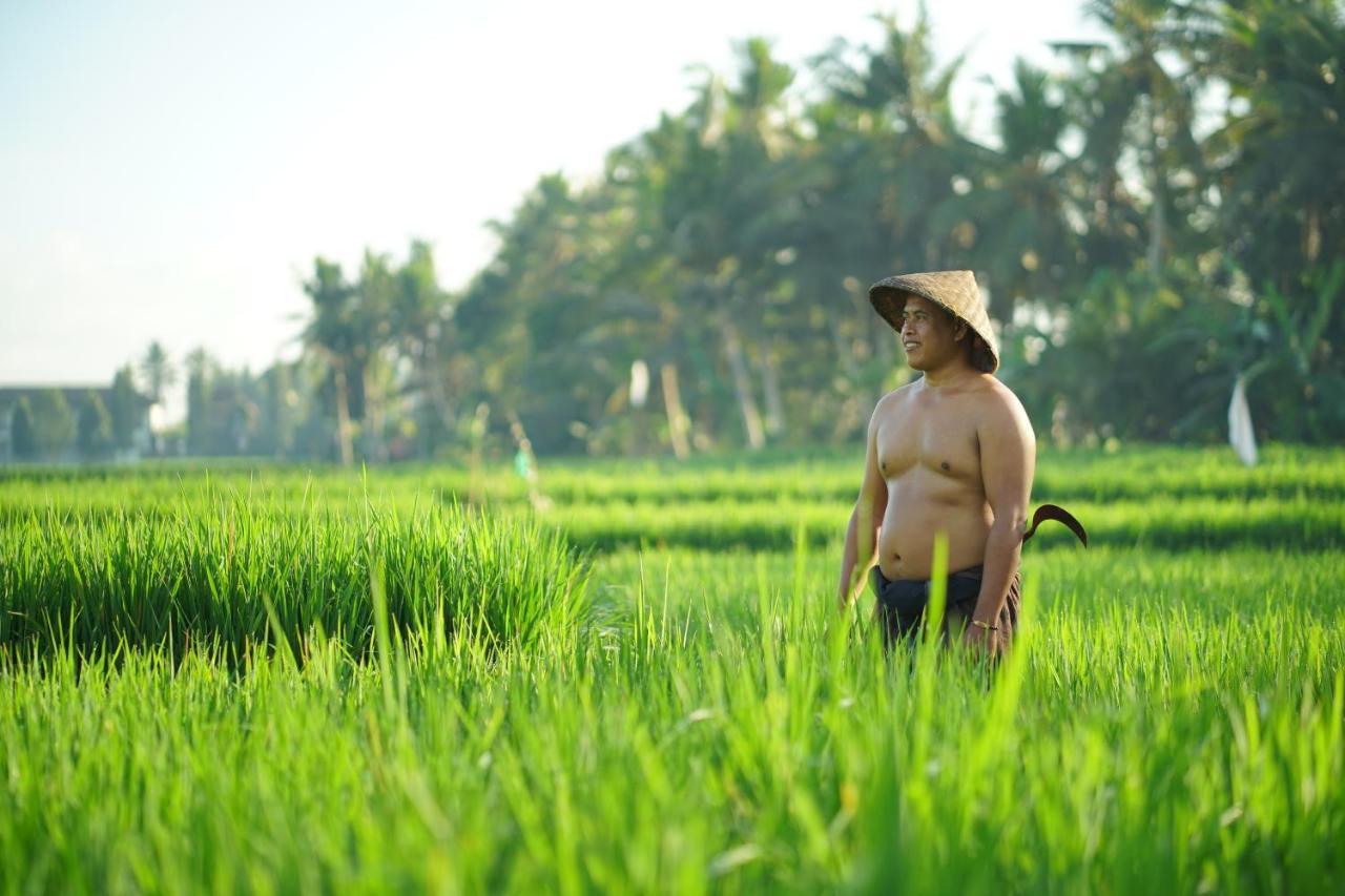 Asri Sari Villa Ubud Eksteriør billede