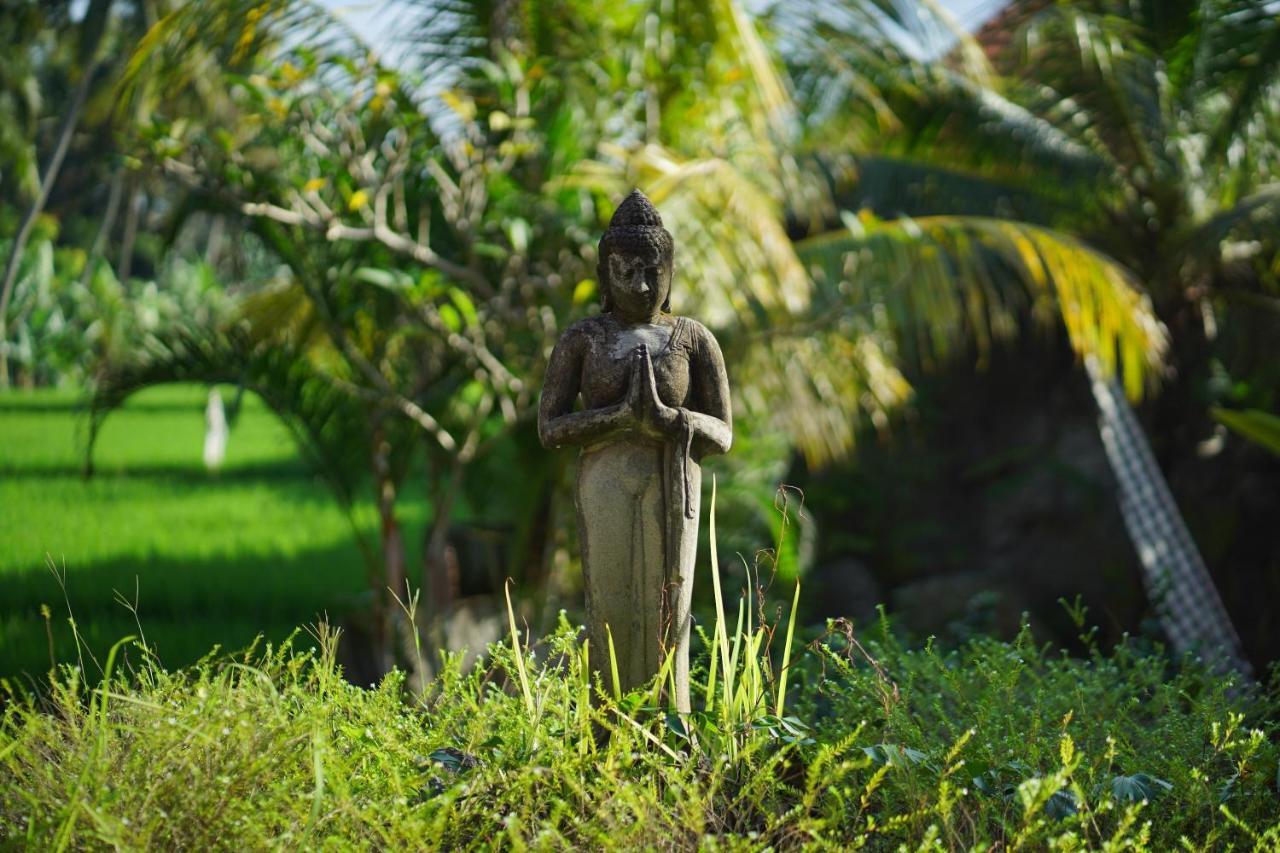 Asri Sari Villa Ubud Eksteriør billede