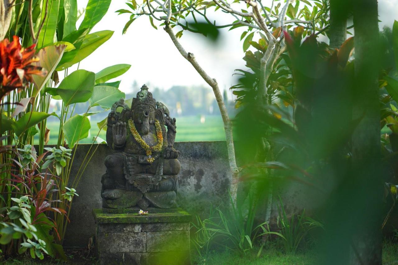 Asri Sari Villa Ubud Eksteriør billede